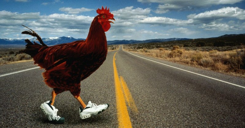 Juego chicken road in Spain